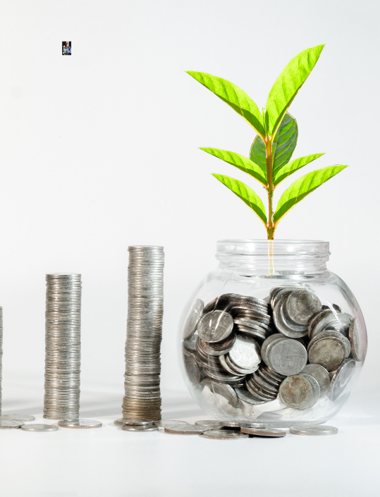 Image hover effect image